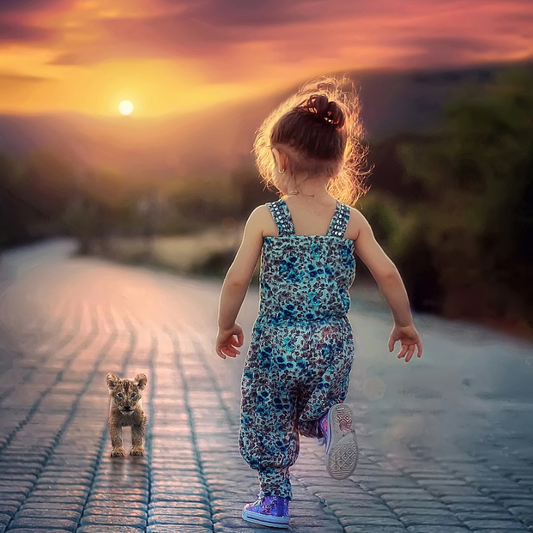 un coucher de soleil avec enfants et son chat