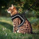 HARNESS - (1 Harness purchased = 1 Free Leash)