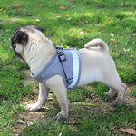 HARNESS - (1 Harness purchased = 1 Free Leash)