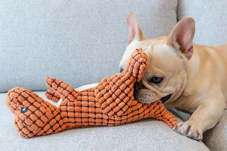 Peluche Tyrannosaure - pour animaux