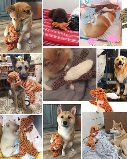 Peluche Tyrannosaure - pour animaux