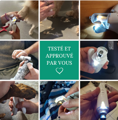 PawEase™ - Coupe Griffes 2 en 1