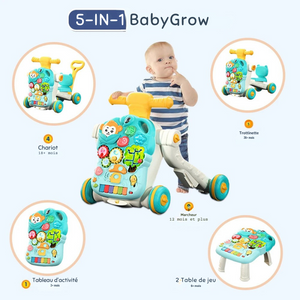 BabyGrow 5-en-1 - L’Accompagnateur Idéal pour Bébé ! - Lexcur
