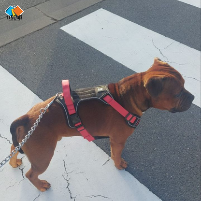 Harnais Flex - Gilet pour chien