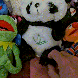 PANDA - Peluche Musical - Lexcur