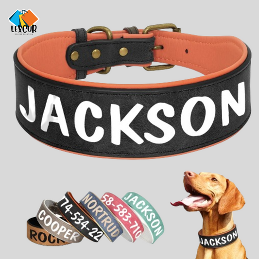 Oscar - Collier pour chien personnalisé