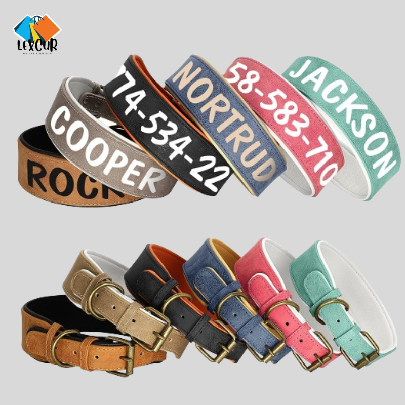 Oscar - Collier pour chien personnalisé