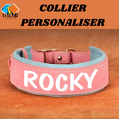 Oscar - Collier pour chien personnalisé