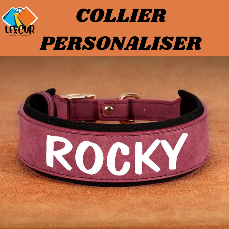 Oscar - Collier pour chien personnalisé