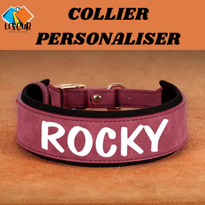 Oscar - Collier pour chien personnalisé