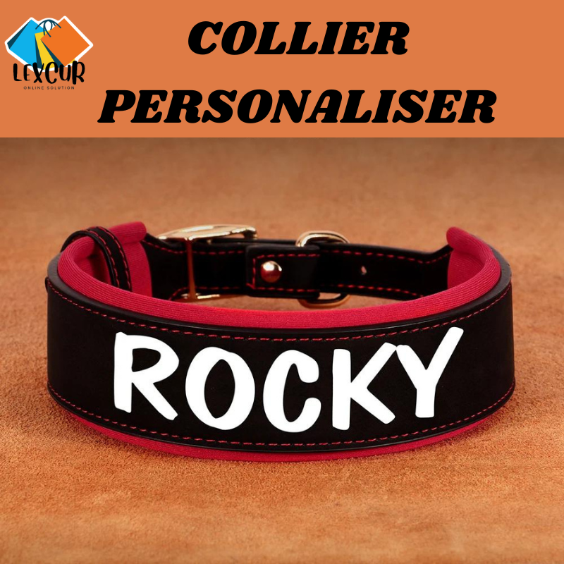 Oscar - Collier pour chien personnalisé