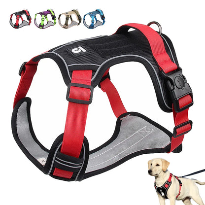 Harnais Flex - Gilet pour chien