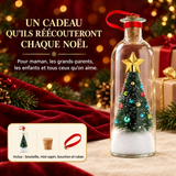 Un cadeau qu'ils réécouteront chaque Noël – Sapin à Message, inclus bouteille, mini sapin, bouchon et ruban