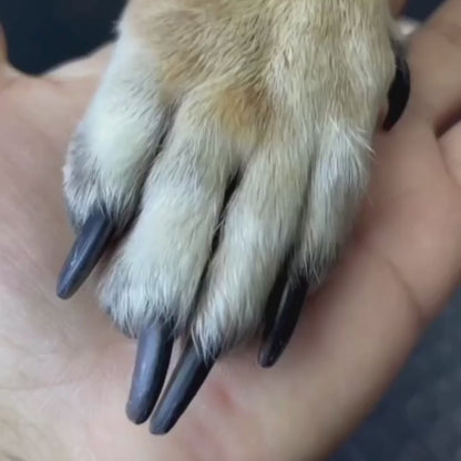 PawEase™ - Coupe Griffes 2 en 1