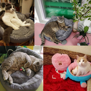 Cat Bed™- Cama para gatos
